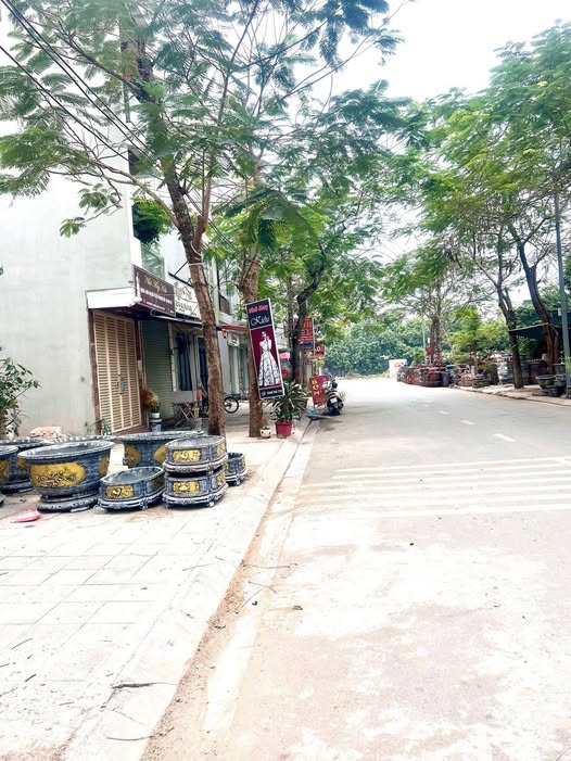 BÁN ĐẤT ĐẤU GIÁ ĐÔNG MỸ – THANH TRÌ | 80m² – MT 6M – GIÁ 10 TỶ | Ô TÔ TRÁNH – VỈA HÈ